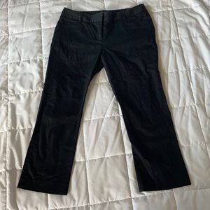 Express Pants
